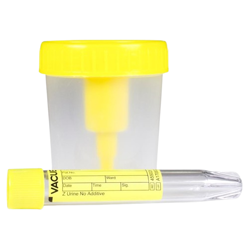 184690-removebg-preview 184690-removebg-preview